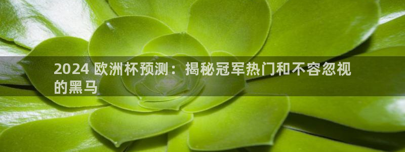 欧洲杯押注怎么买：2024 欧洲杯预测：揭秘冠军热门和不容忽视
的黑马