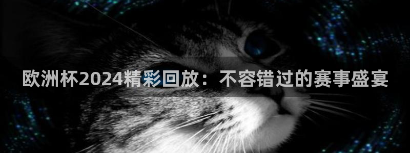 2024欧洲杯押注官网：欧洲杯2024精彩回放：不容错过的赛事盛宴
