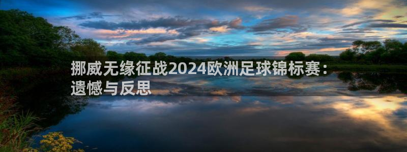 2024欧洲杯买竞猜|挪威无缘征战2024欧洲足球锦标赛：
遗憾与反思