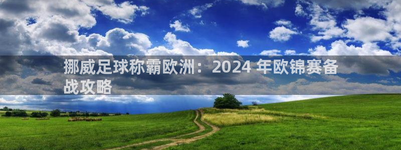 欧洲杯直播平台|挪威足球称霸欧洲：2024 年欧锦赛备
战攻略