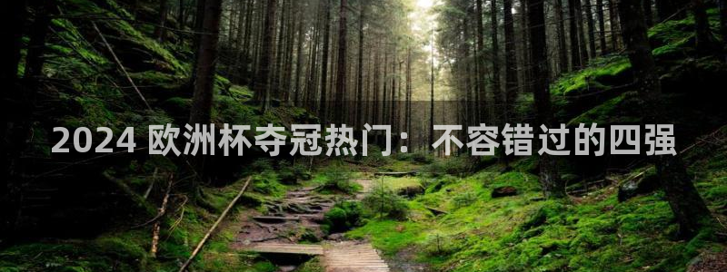 欧洲杯哪里买球靠谱