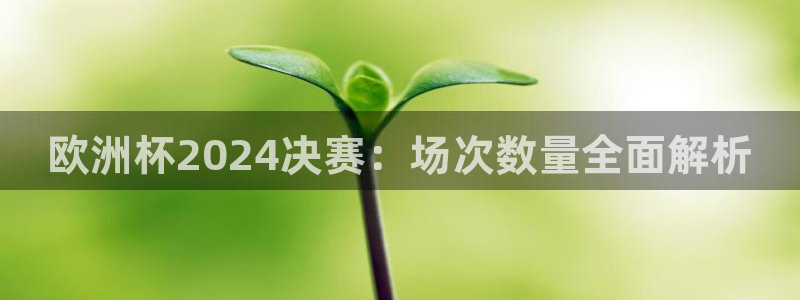 买欧洲杯的竞猜在那个app|欧洲杯2024决赛：场次数量全面解析
