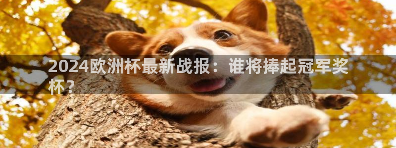 2024欧洲杯官方网站首页|2024欧洲杯最新战报：谁将捧起冠军奖
杯？