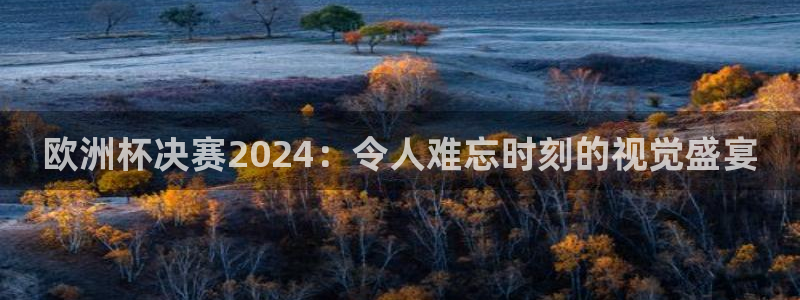 2024欧洲杯买球手机版