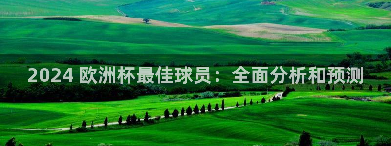 欧洲杯下赌注平台