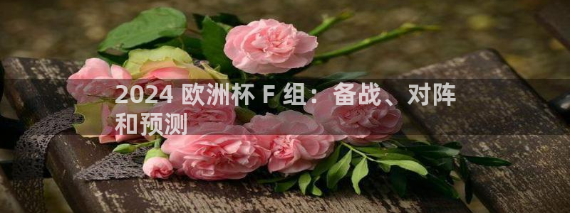 欧洲杯在哪个网站购买