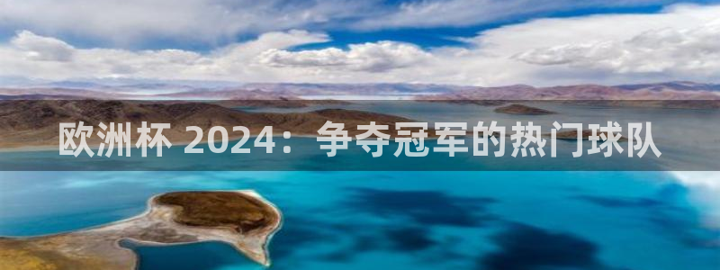 2024欧洲杯官方网站首页|欧洲杯 2024：争夺冠军的热门球队
