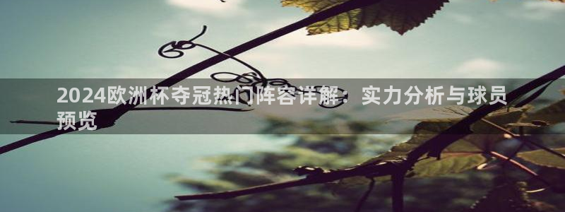 欧洲杯竞猜网站