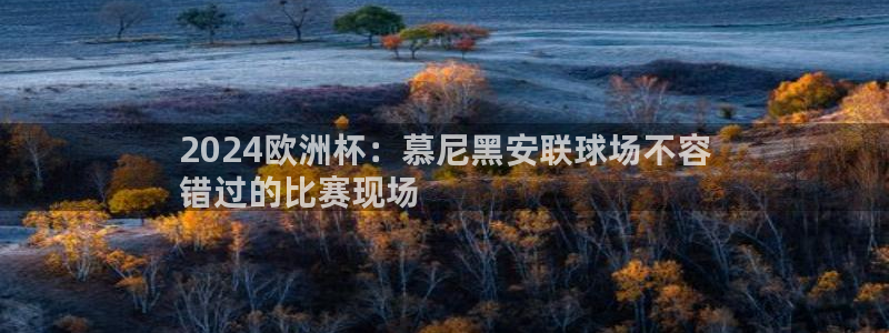 十大靠谱外围买球网站|2024欧洲杯：慕尼黑安联球场不容
错过的比赛现场