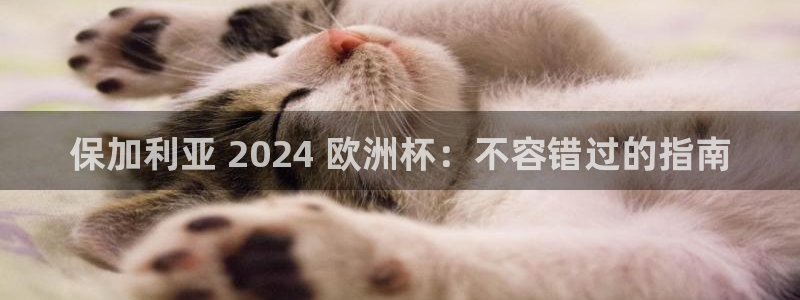 欧洲杯投注官方网站